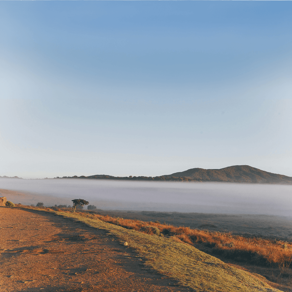 Horton Plains National Park